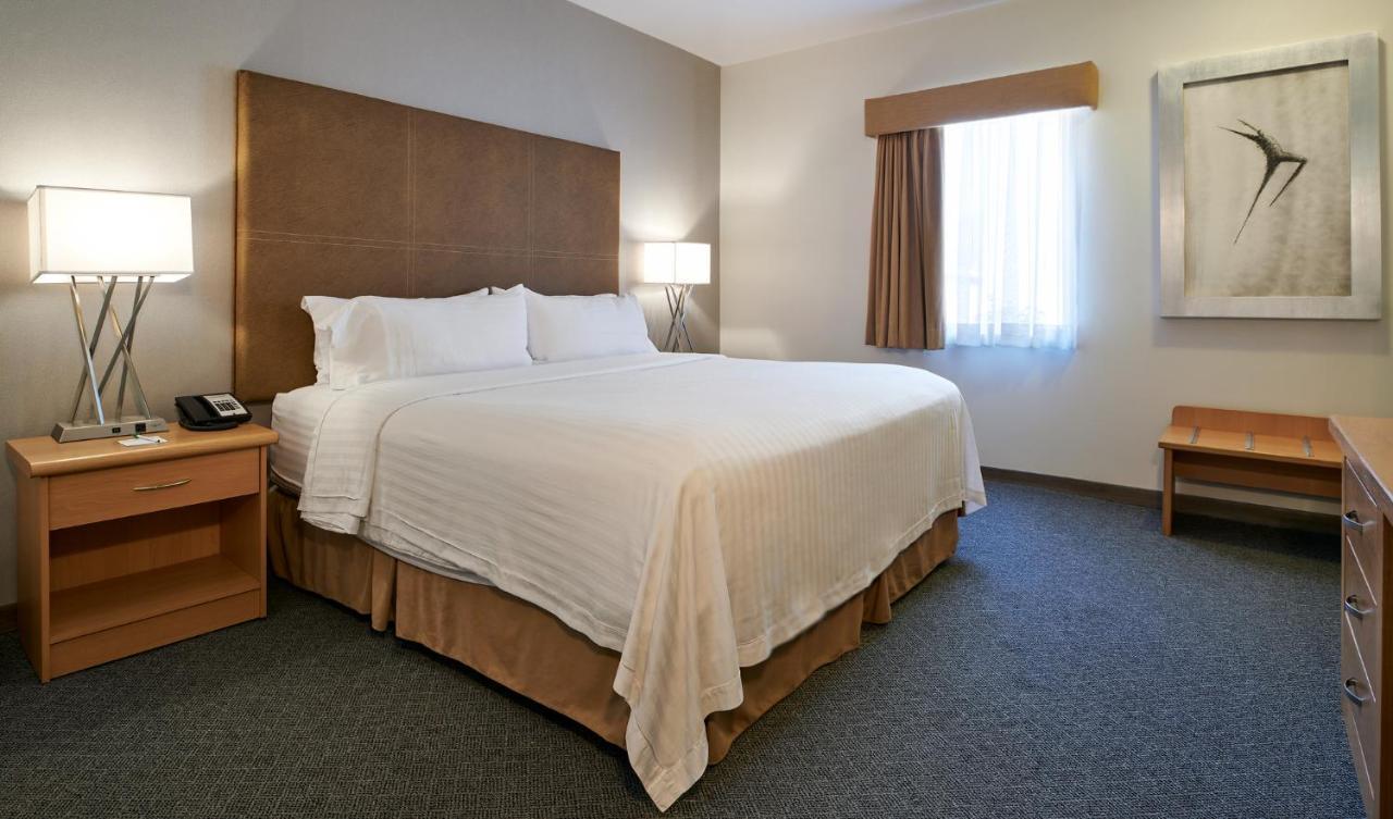 Holiday Inn Hotel & Suites Chihuahua By Ihg Екстериор снимка